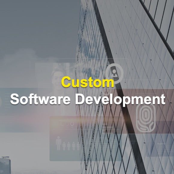 custom software development